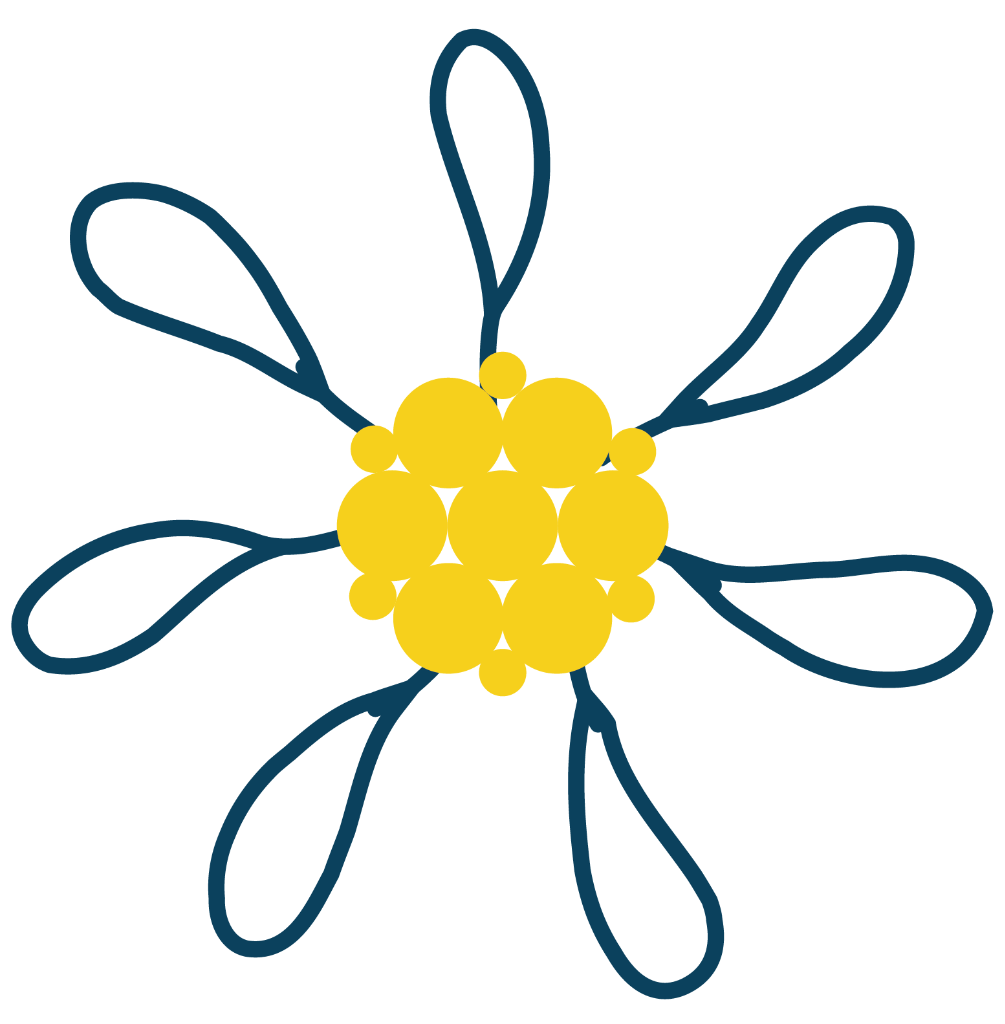 Edelweiss School Logo